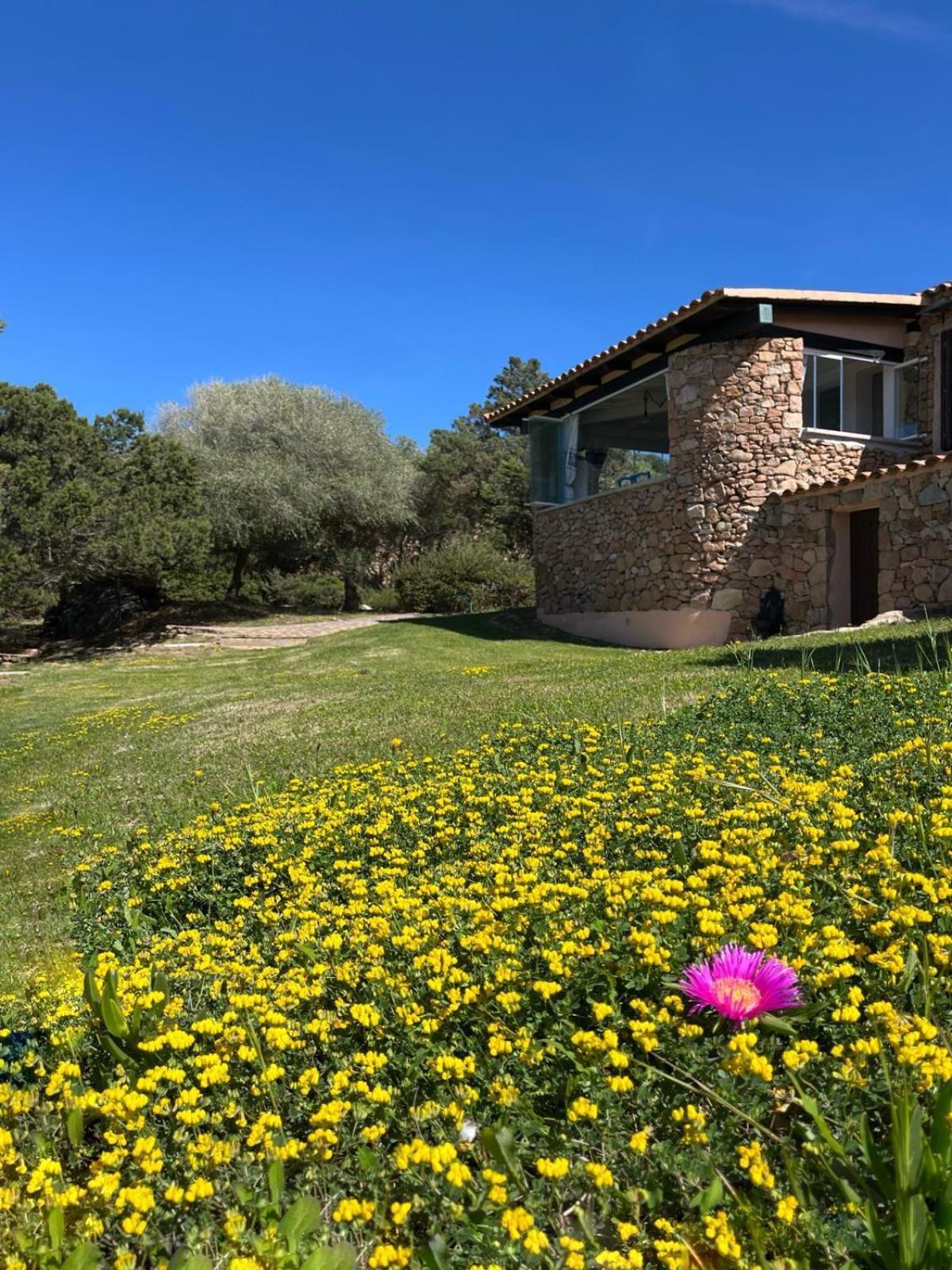 House On The Beach - Porto Rotondo Exterior photo